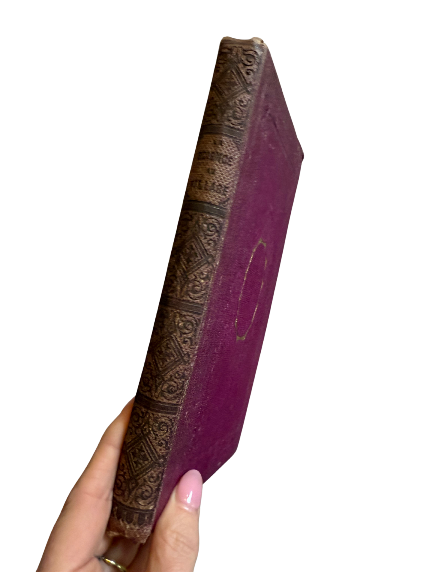 Antique French Cartonnage Book