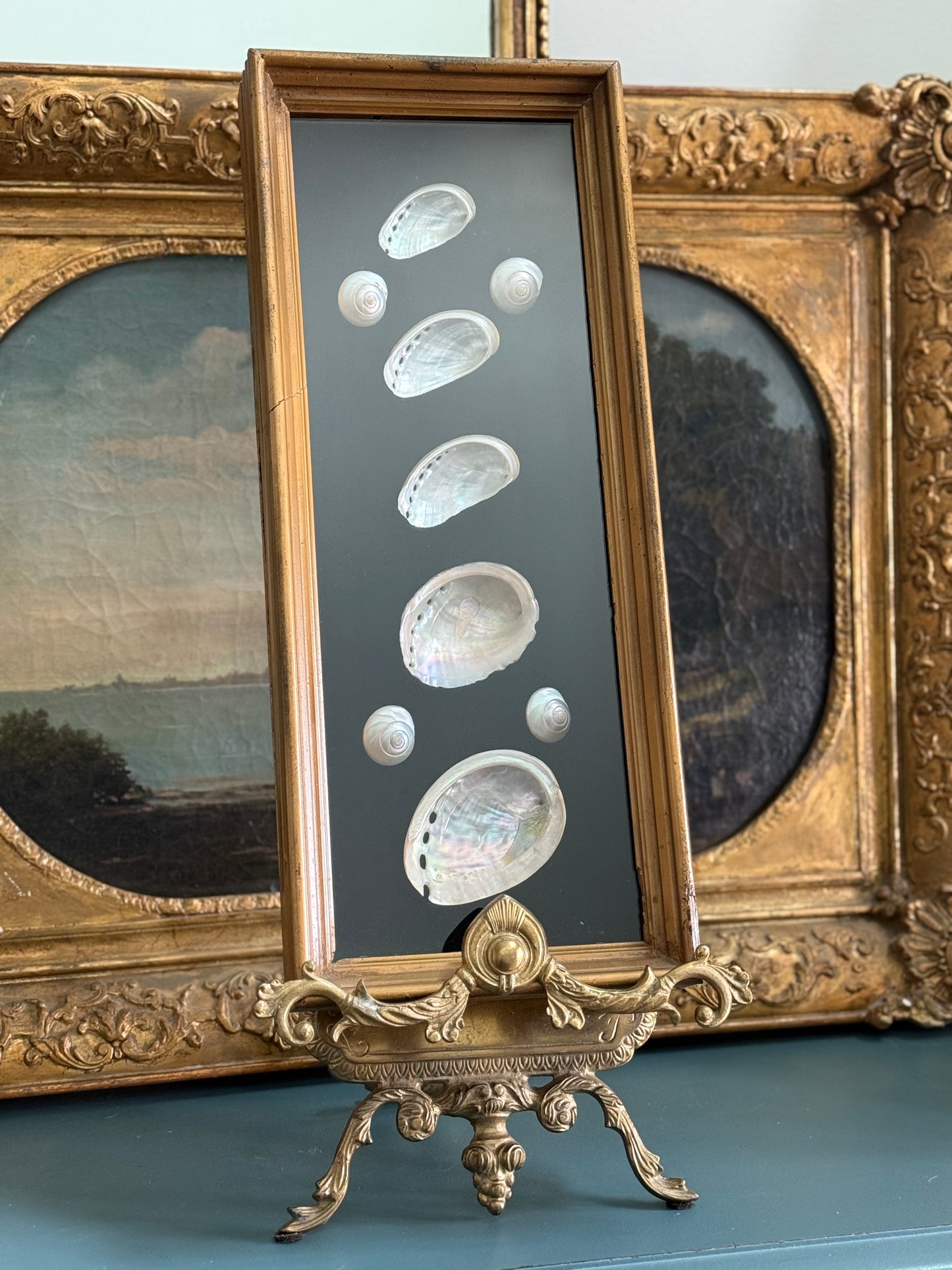 Vintage Shell Framed Shadow Box