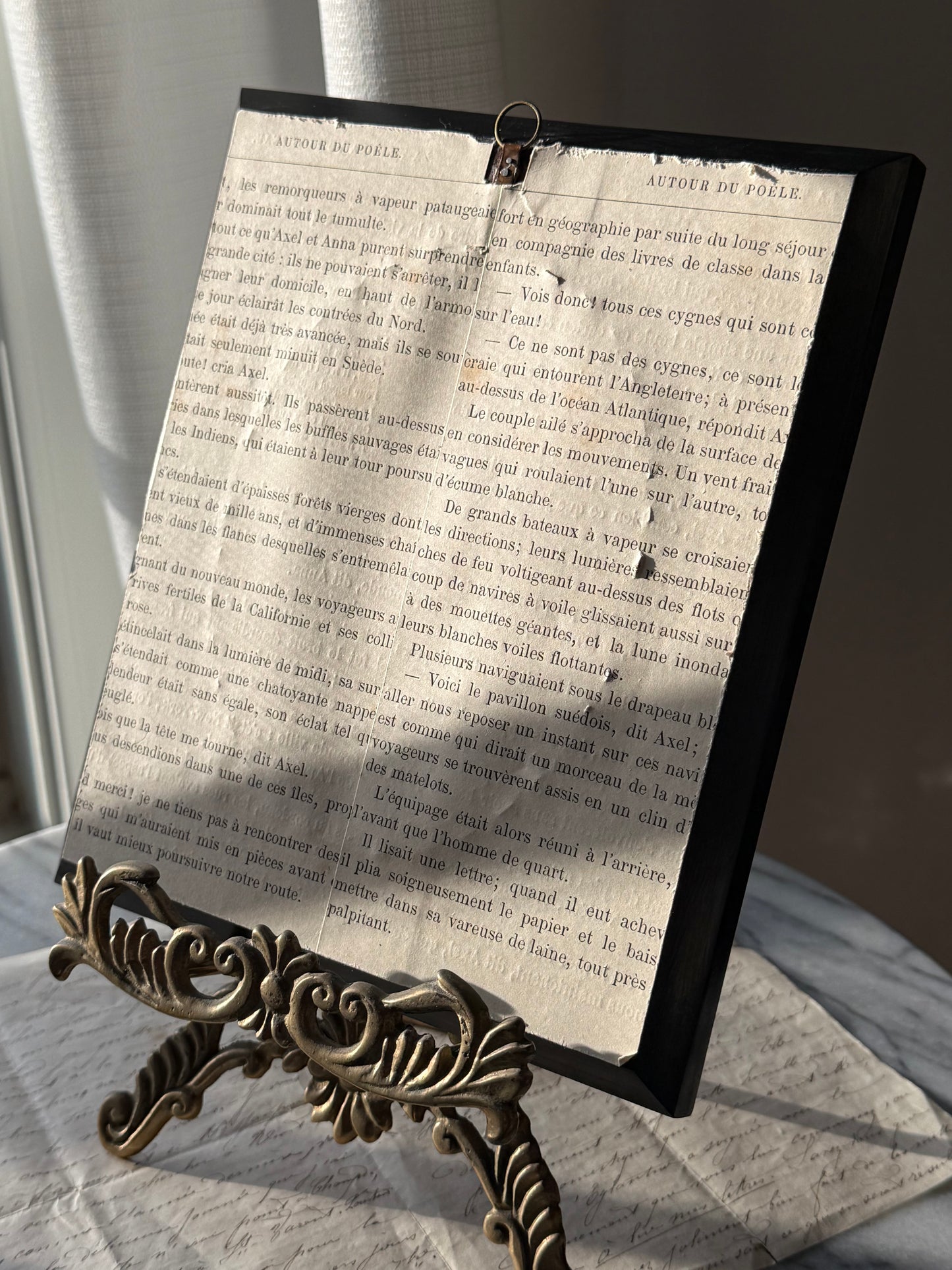 Antique French Wax Seal Collection — Shadow Frame