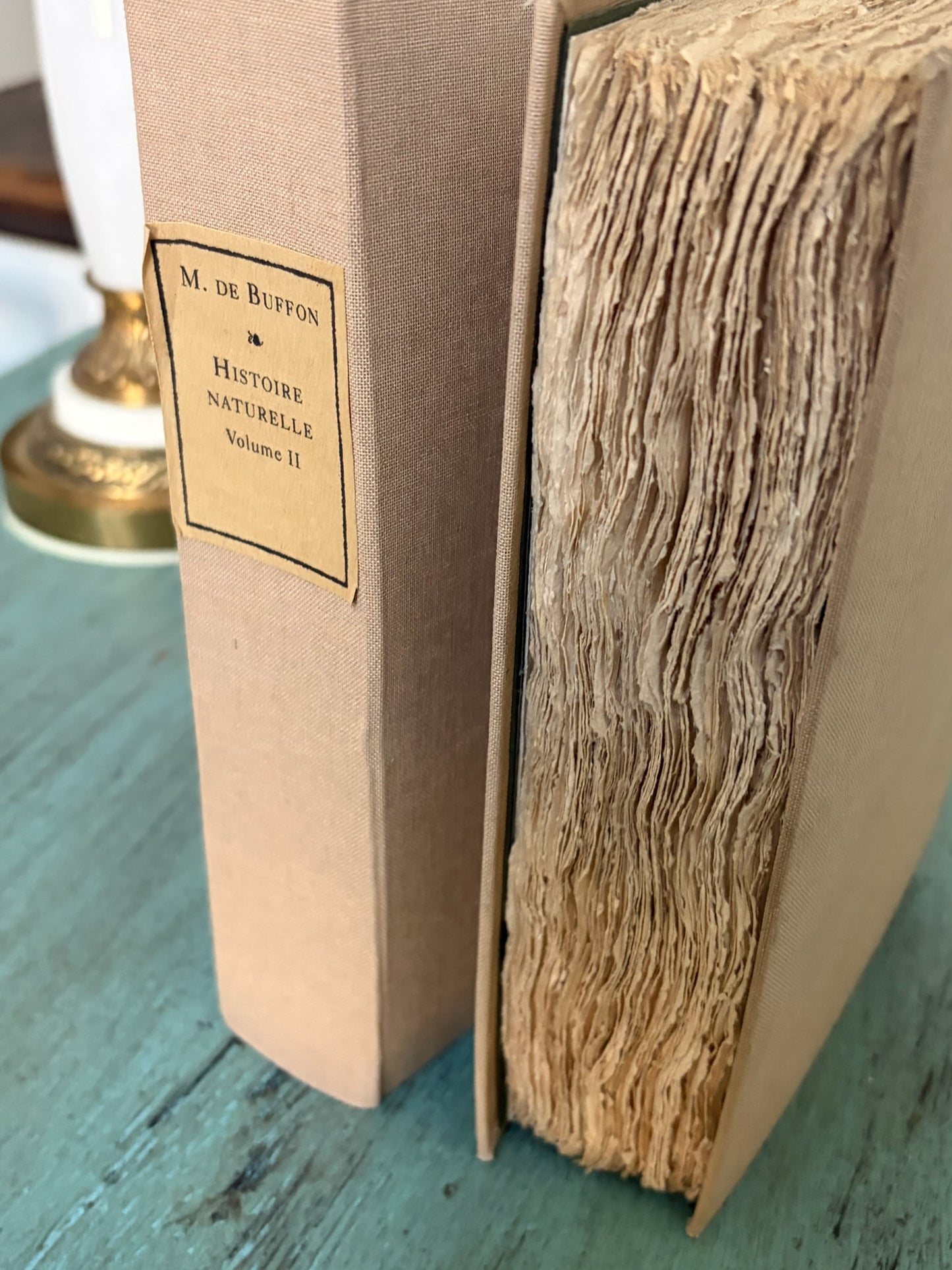 Antique Decorative Book · 255-Year-Old French Histoire Naturelle · Repurposed in Cream (multiples)