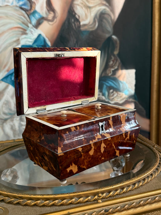 Antique Tortoise Tea Caddy