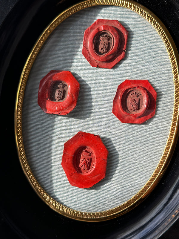 Antique French Wax Seal Collection — Shadow Frame