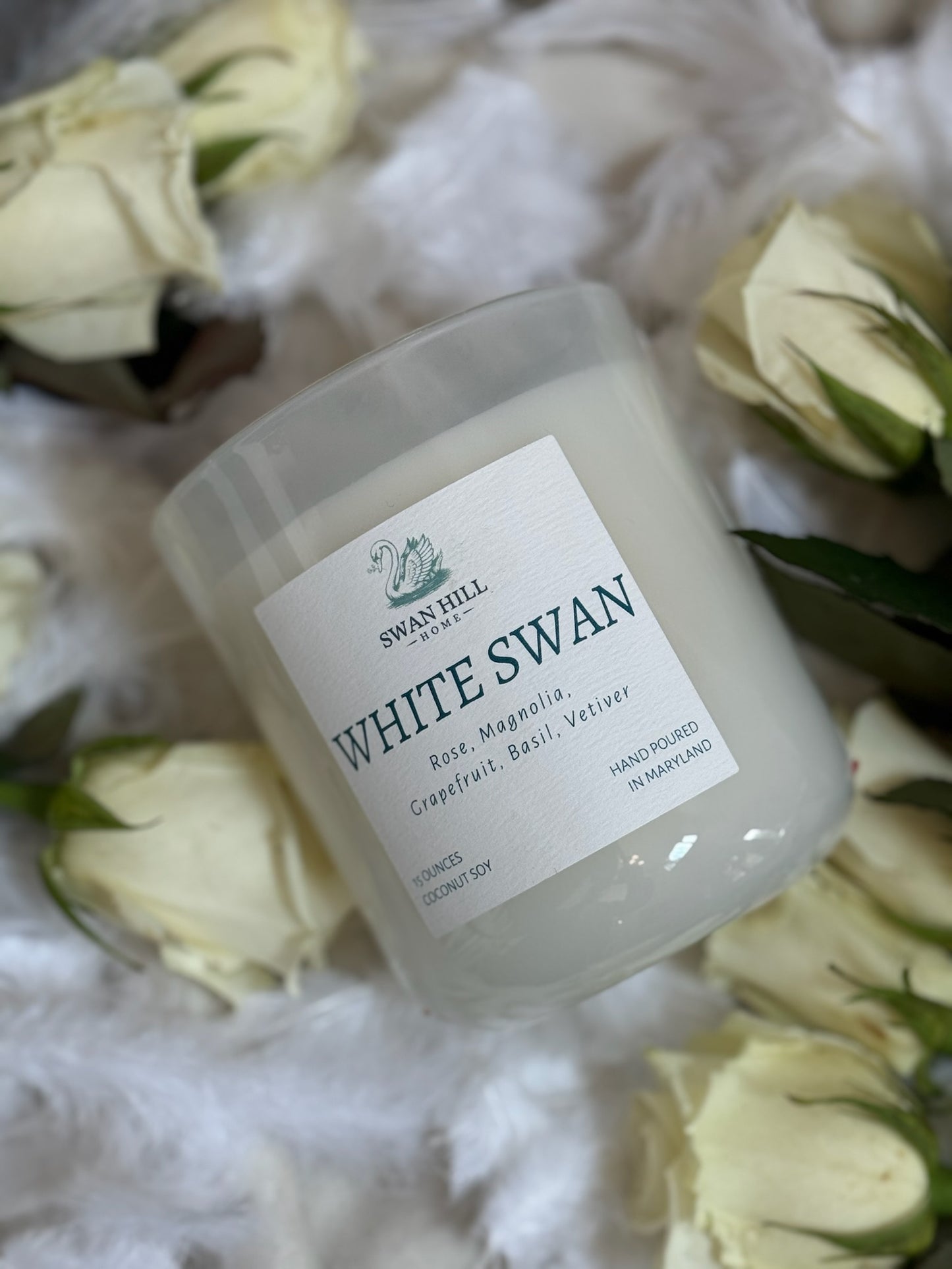 White Swan by Swan Hill Home x Salvage Bohemia