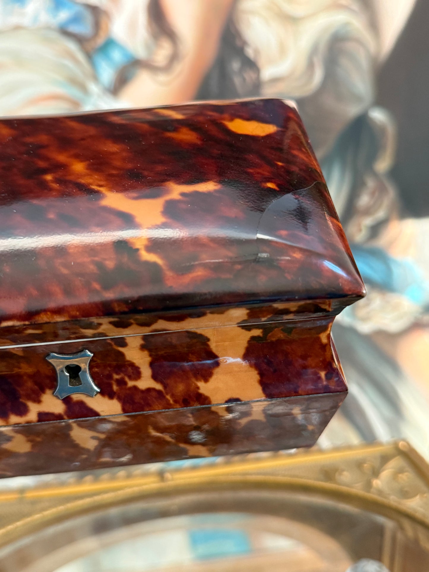 Antique Tortoise Tea Caddy