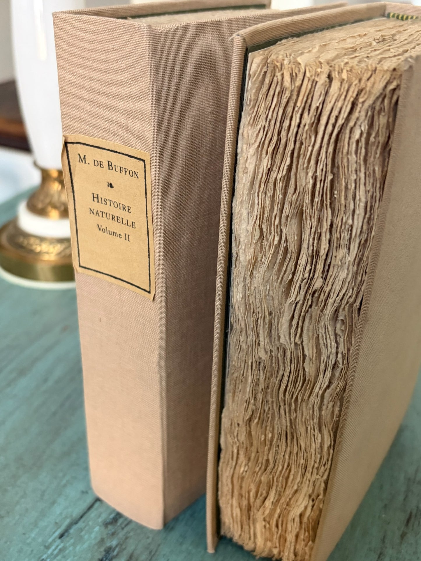 Antique Decorative Book · 255-Year-Old French Histoire Naturelle · Repurposed in Cream (multiples)
