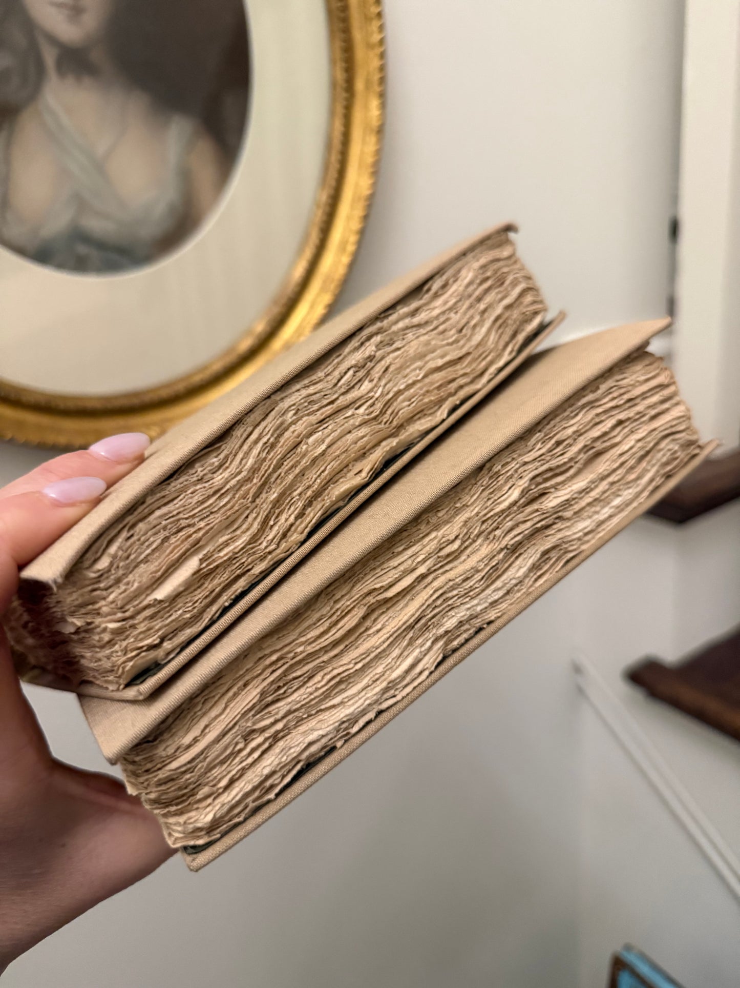 Antique Decorative Book · 255-Year-Old French Histoire Naturelle · Repurposed in Cream (multiples)