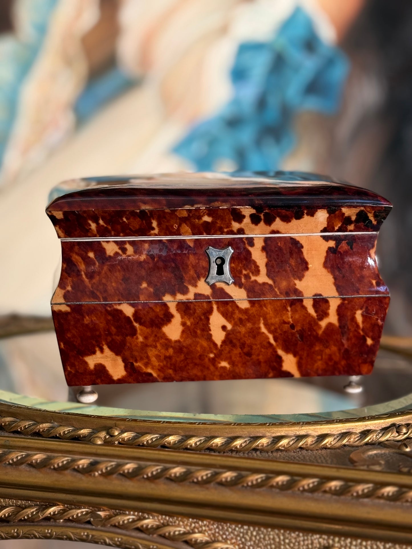Antique Tortoise Tea Caddy