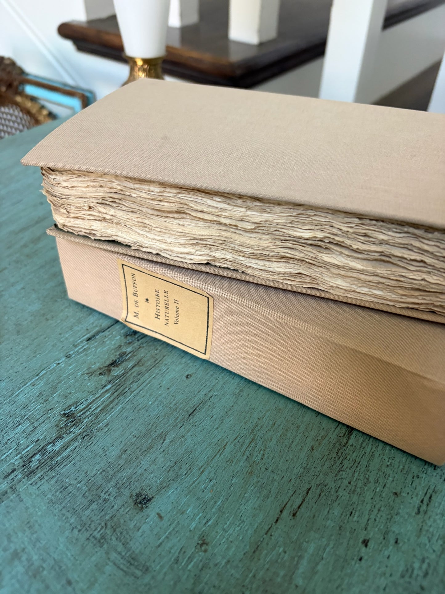 Antique Decorative Book · 255-Year-Old French Histoire Naturelle · Repurposed in Cream (multiples)