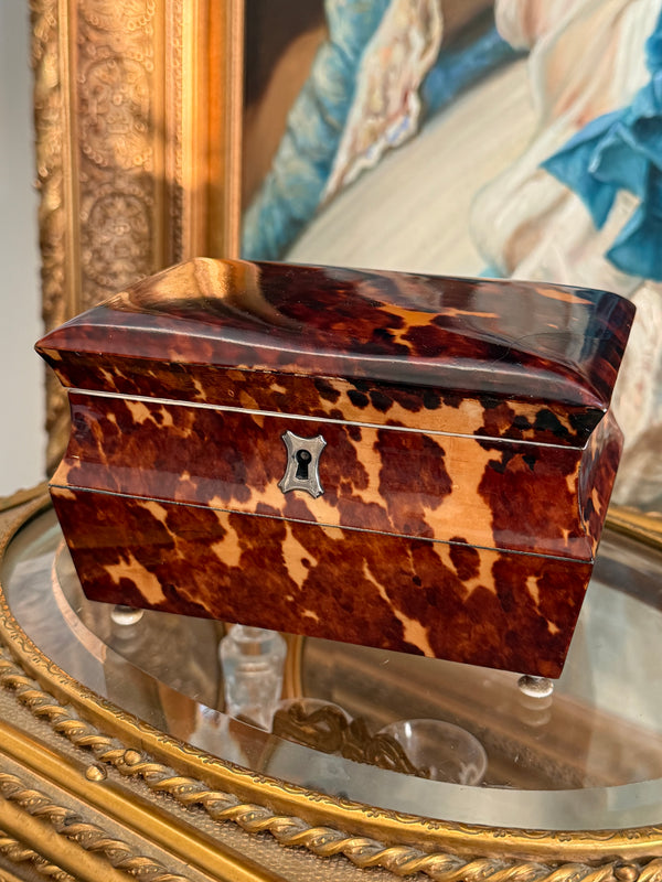 Antique Tortoise Tea Caddy