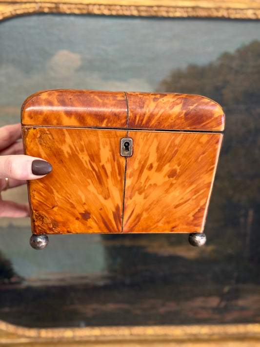 Antique Tortoiseshell Tea Caddy